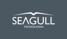 Seagull