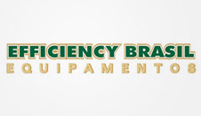 Efficiency Brasil